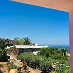 Dammusi Matilde تراتْشّينو
