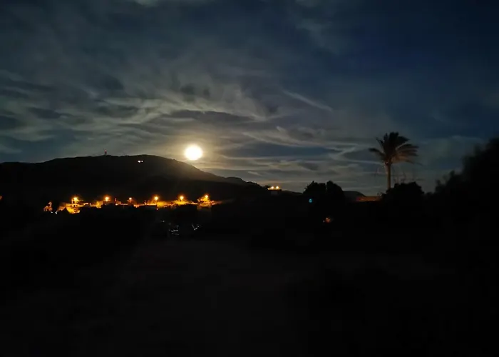 Dammusi Matilde